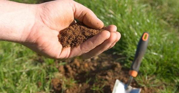The Importance Of Soil Testing Explained