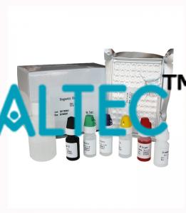 ELISA Kits for Lab