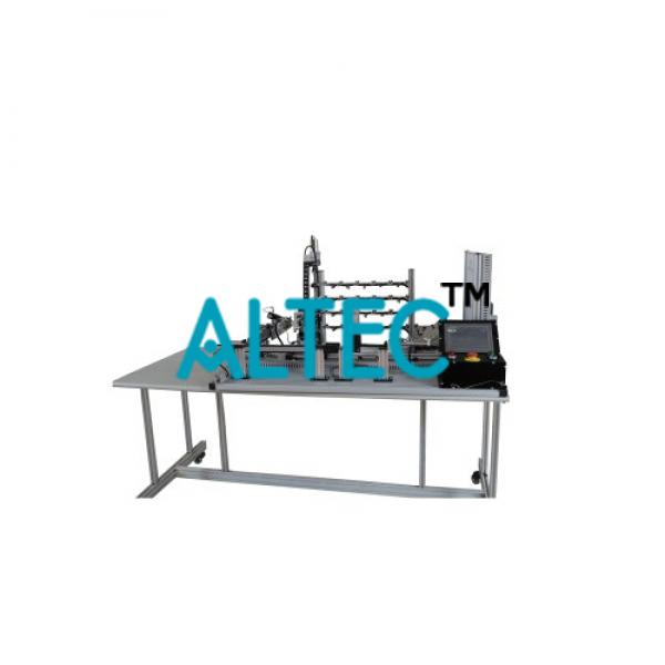 Auto Sorting Trainer