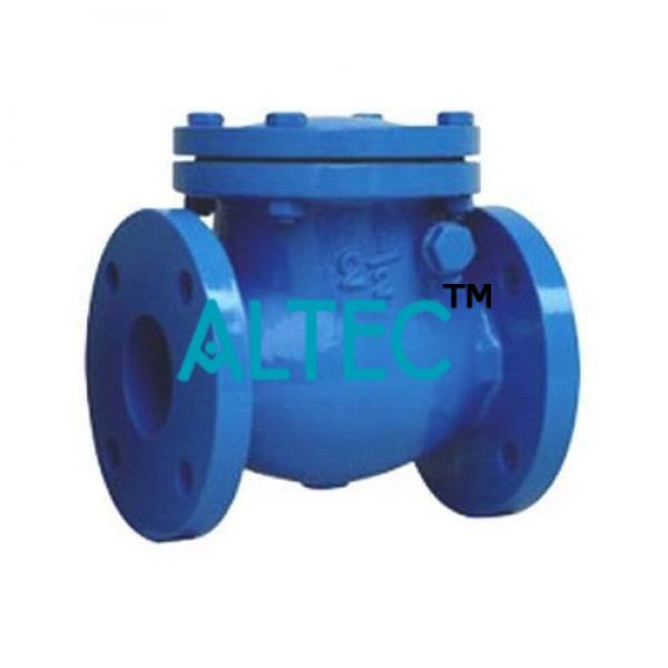 Cast Iron Check Valve