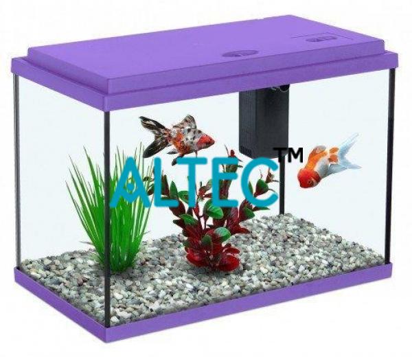 Fresh Water Aquarium with Stand