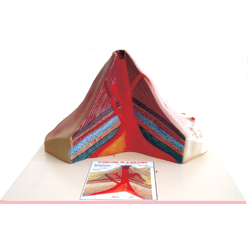 Volcano Model