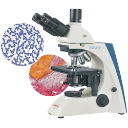 High Performance Educational Laboratory & Clinical Research Microscope