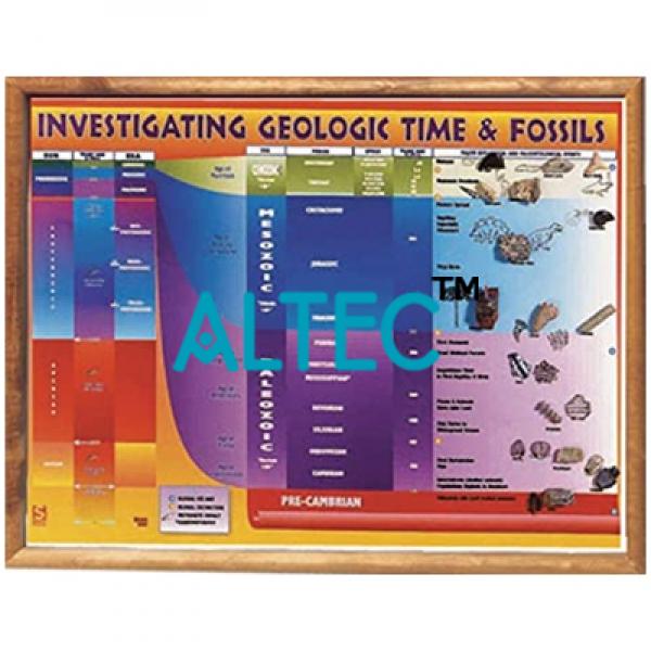 Investigating Geological Time And Fossils Chart