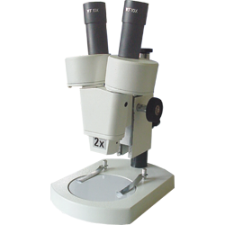 Student Stereo Microscope