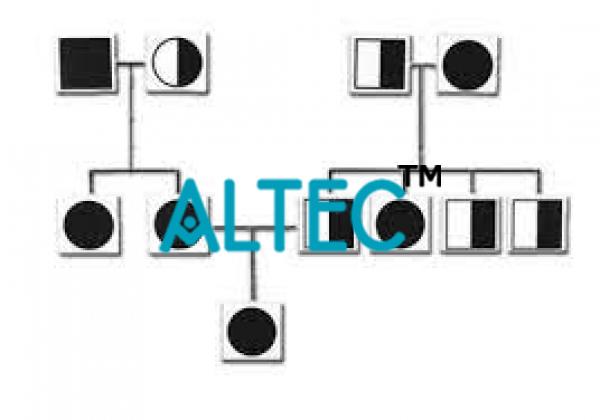 Genetic and Inheritance Magnetic Cards