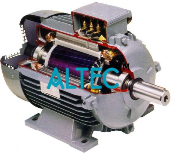 Phase Synchronous Motor Working Model