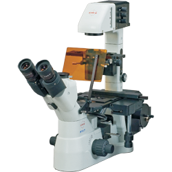 Biological Inverted Tissue Culture Microscope