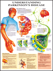 Human Diseases & Disorders Digital Charts