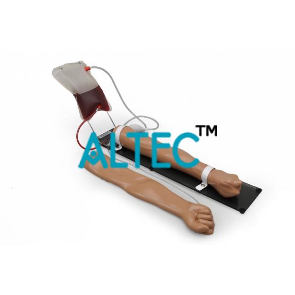 Adult Injection Arm Trainer