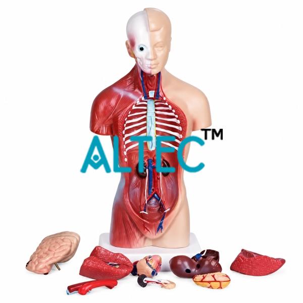 Biology, Botany & Zoology Equipment India